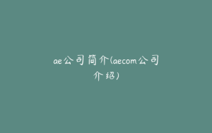 ae公司简介(aecom公司介绍) | ae插件合集