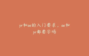 pr和ae的入门要求,ae和pr都要学吗 | ae插件合集