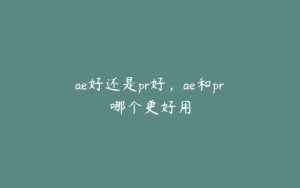 ae好还是pr好,ae和pr哪个更好用 | ae插件合集