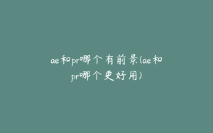 ae和pr哪个有前景(ae和pr哪个更好用) | ae插件合集
