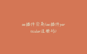 ae插件密匙(ae插件particular注册码) | ae插件合集