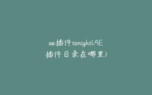 ae插件tonight(AE插件目录在哪里) | ae插件合集
