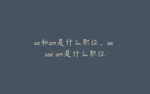 ae和am是什么职位，ae sae am是什么职位 | ae插件合集