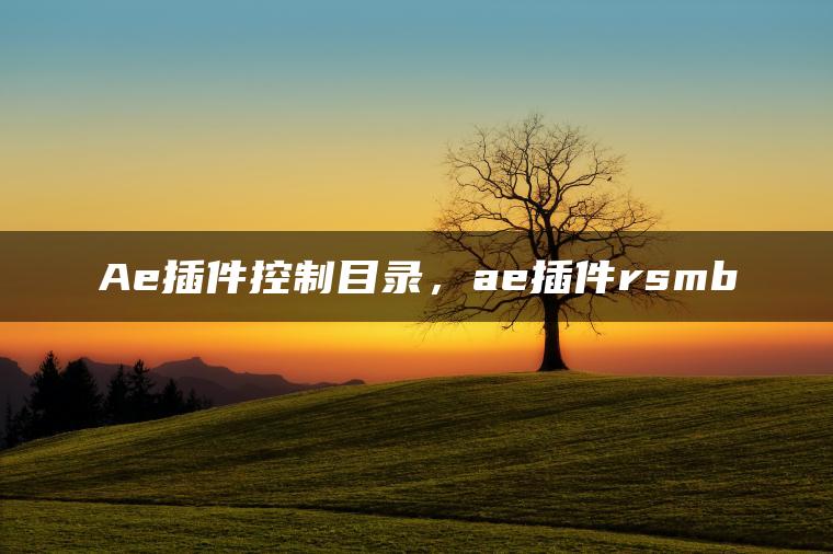 Ae插件控制目录，ae插件rsmb