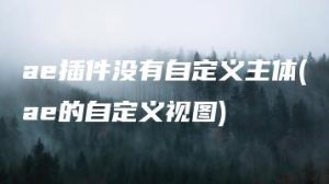 ae插件没有自定义主体(ae的自定义视图) | ae插件合集
