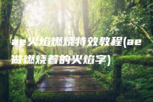 ae火焰燃烧特效教程(ae做燃烧着的火焰字) | ae插件合集