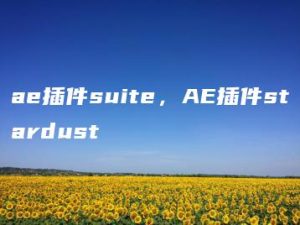 ae插件suite，AE插件stardust | ae插件合集