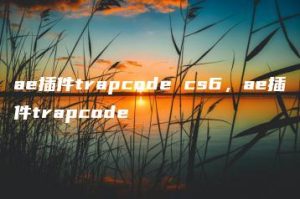 ae插件trapcode cs6，ae插件trapcode | ae插件合集