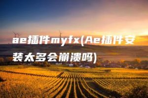 ae插件myfx(Ae插件安装太多会崩溃吗) | ae插件合集
