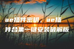 ae插件密钥，ae插件合集一键安装破解版 | ae插件合集