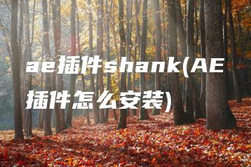 ae插件shank(AE插件怎么安装) | ae插件合集