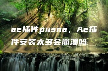 ae插件pusna，Ae插件安装太多会崩溃吗 | ae插件合集