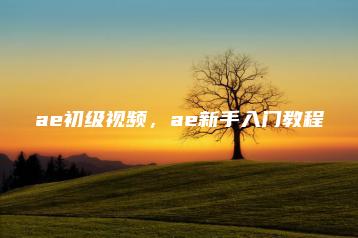 ae初级视频，ae新手入门教程 | ae插件合集