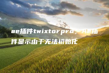 ae插件twixtorpro，Ae插件显示由于无法初始化 | ae插件合集