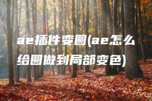 ae插件变圆(ae怎么给圆做到局部变色) | ae插件合集