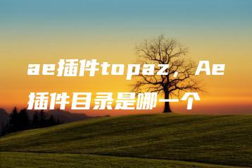 ae插件topaz，Ae插件目录是哪一个 | ae插件合集