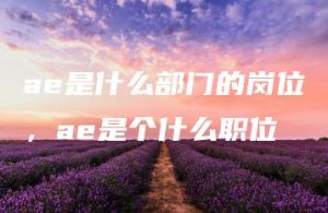 ae是什么部门的岗位，ae是个什么职位 | ae插件合集