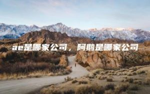 ae是哪家公司，阿鹅是哪家公司 | ae插件合集
