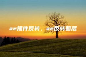 ae插件反转，ae反转图层 | ae插件合集