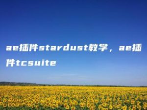 ae插件stardust教学，ae插件tcsuite | ae插件合集