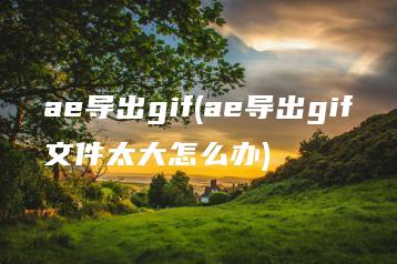 ae导出gif(ae导出gif文件太大怎么办) | ae插件合集