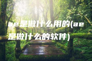 ae是做什么用的(ae是做什么的软件) | ae插件合集