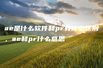 ae是什么软件和pr有什么区别，ae和pr什么意思 | ae插件合集