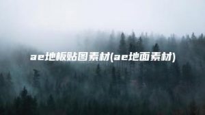 ae地板贴图素材(ae地面素材) | ae插件合集