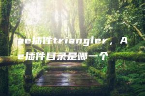 ae插件triangler，Ae插件目录是哪一个 | ae插件合集