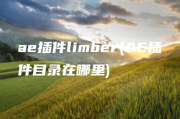ae插件limber(AE插件目录在哪里) | ae插件合集