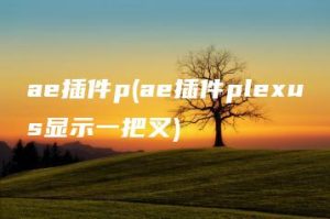 ae插件p(ae插件plexus显示一把叉) | ae插件合集
