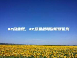 ae绿色版，ae绿色版和破解版区别 | ae插件合集