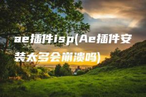 ae插件isp(Ae插件安装太多会崩溃吗) | ae插件合集