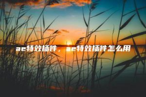 ae特效插件，ae特效插件怎么用 | ae插件合集