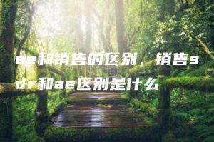 ae和销售的区别，销售sdr和ae区别是什么 | ae插件合集