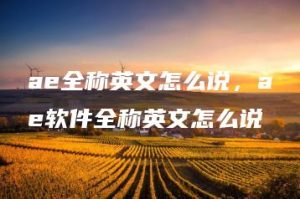 ae全称英文怎么说，ae软件全称英文怎么说 | ae插件合集