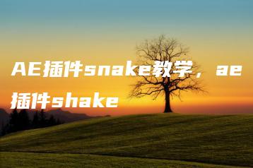 AE插件snake教学，ae插件shake | ae插件合集