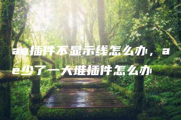 ae插件不显示线怎么办，ae少了一大堆插件怎么办 | ae插件合集