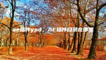 ae插件ypd，AE插件目录在哪里 | ae插件合集