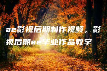 ae影视后期制作视频，影视后期ae毕业作品教学 | ae插件合集