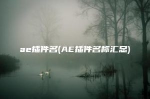 ae插件名(AE插件名称汇总) | ae插件合集