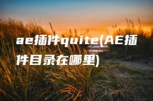 ae插件quite(AE插件目录在哪里) | ae插件合集