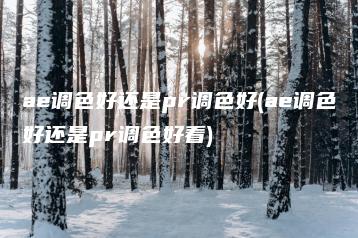 ae调色好还是pr调色好(ae调色好还是pr调色好看) | ae插件合集