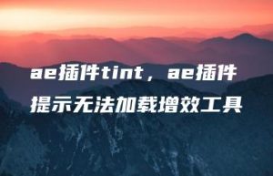 ae插件tint，ae插件提示无法加载增效工具 | ae插件合集
