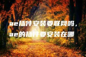 ae插件安装要联网吗，ae的插件要安装在哪 | ae插件合集
