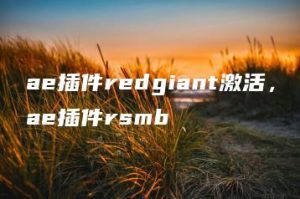 ae插件redgiant激活，ae插件rsmb | ae插件合集