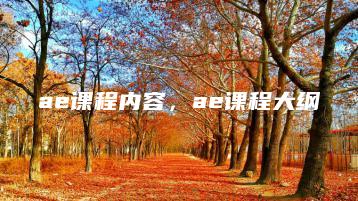 ae课程内容，ae课程大纲 | ae插件合集
