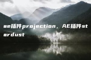 ae插件projection，AE插件stardust | ae插件合集