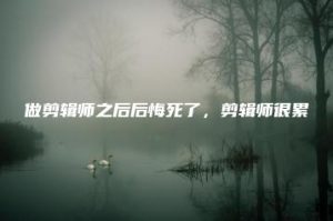 做剪辑师之后后悔死了，剪辑师很累 | ae插件合集