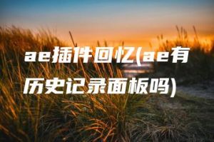 ae插件回忆(ae有历史记录面板吗) | ae插件合集